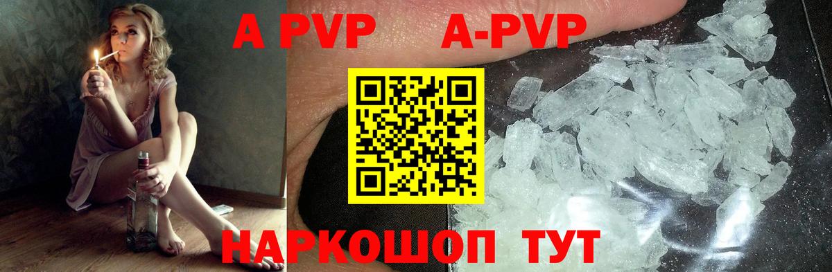 Альфа ПВП СК Киров