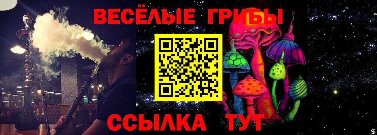 Киров  Псилоцибиновые грибы Magic Shrooms  Вход с VPN  Псилоцибиновые грибы MAGIC MUSHROOMS 