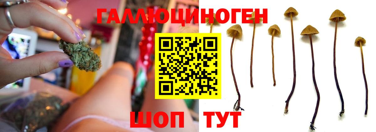 Псилоцибиновые грибы мухоморы Киров